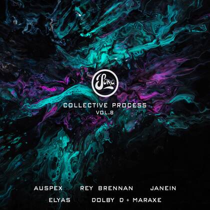 Collective Process Vol. 8 cover
