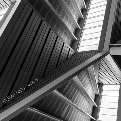 SOMA NEU Vol. 6