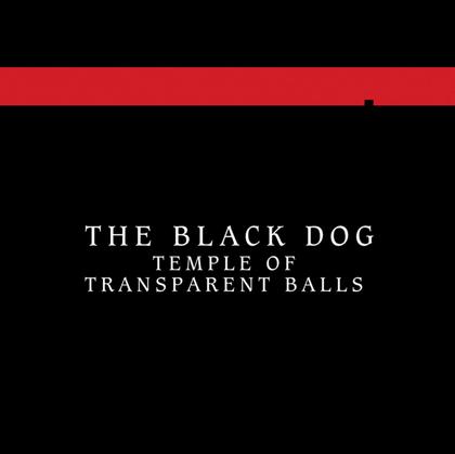 Temple of Transparent Balls cover