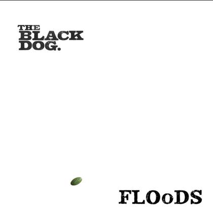 Floods cover