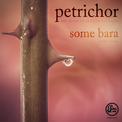 Some Bara (12 Vinyl) cover