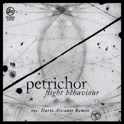 Flight Behaviour (Inc Ilario Alicante Remix) cover